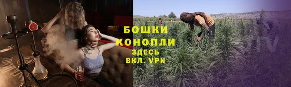 стафф Киреевск