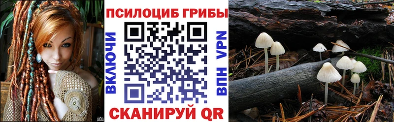 Галлюциногенные грибы Cubensis Элиста